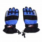 3 ColorMen & Women Skiing Gloves Motorcycle Gloves Touch Screen Winter Warm Waterproof Fabrics Snowboarding Gloves C/532794829026